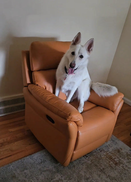 Customer Review: Our Leather Recliner – 5 Months Later